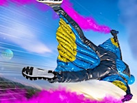 Base Jump Wing Suit Flying